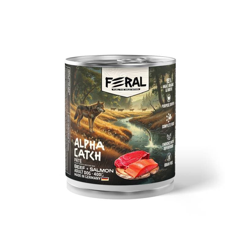 66bd1dfa59747668591e595d80695934_1783634761.jpg