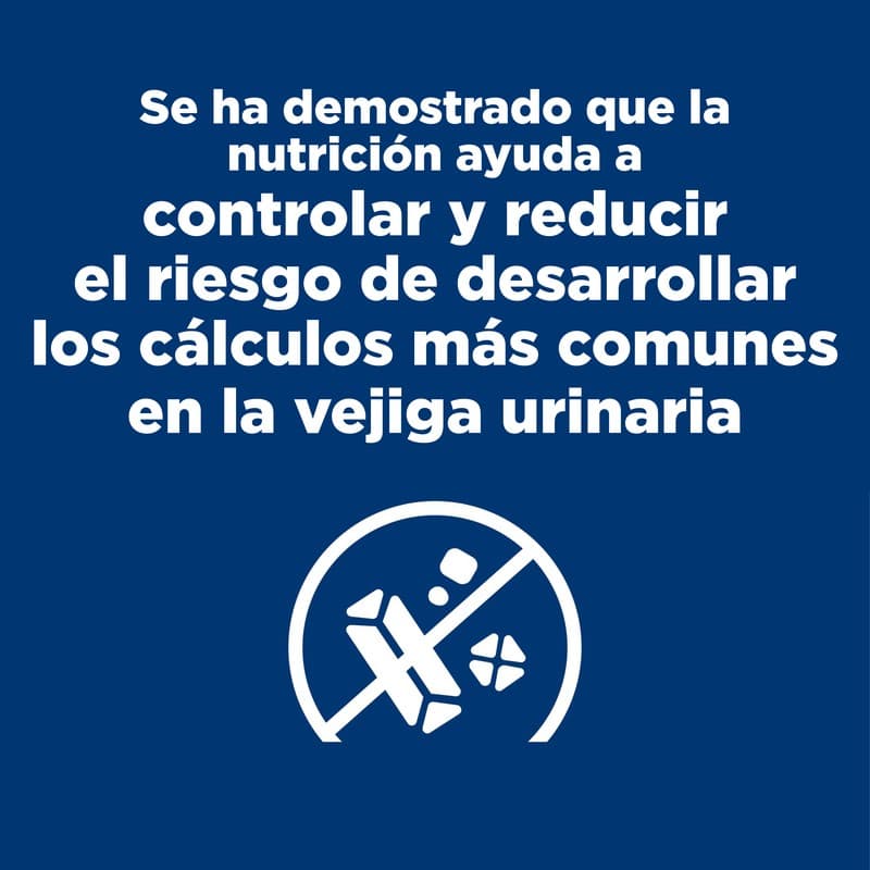 74b75781fa58c24fe5bb2c20741e392e_1788276219.jpg