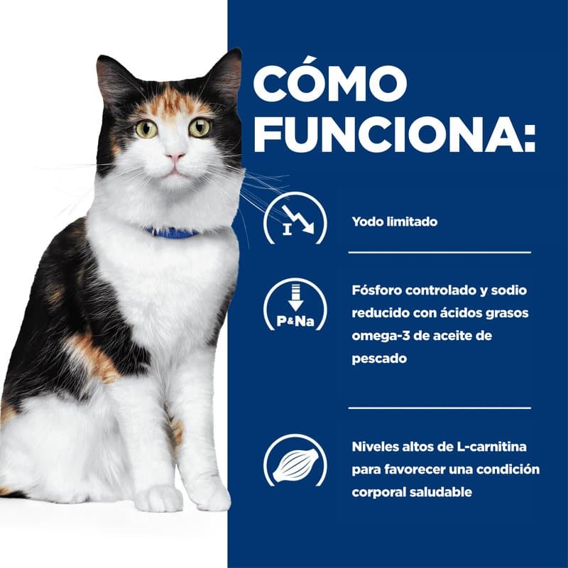95a68ff6e751fdfd8256159c2aaf7262_1788225535.jpg