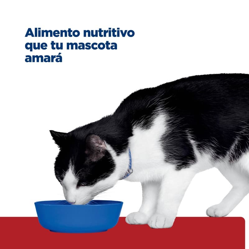 daa03fe68da38d015bcfb0da5286aba1_1788222679.jpg