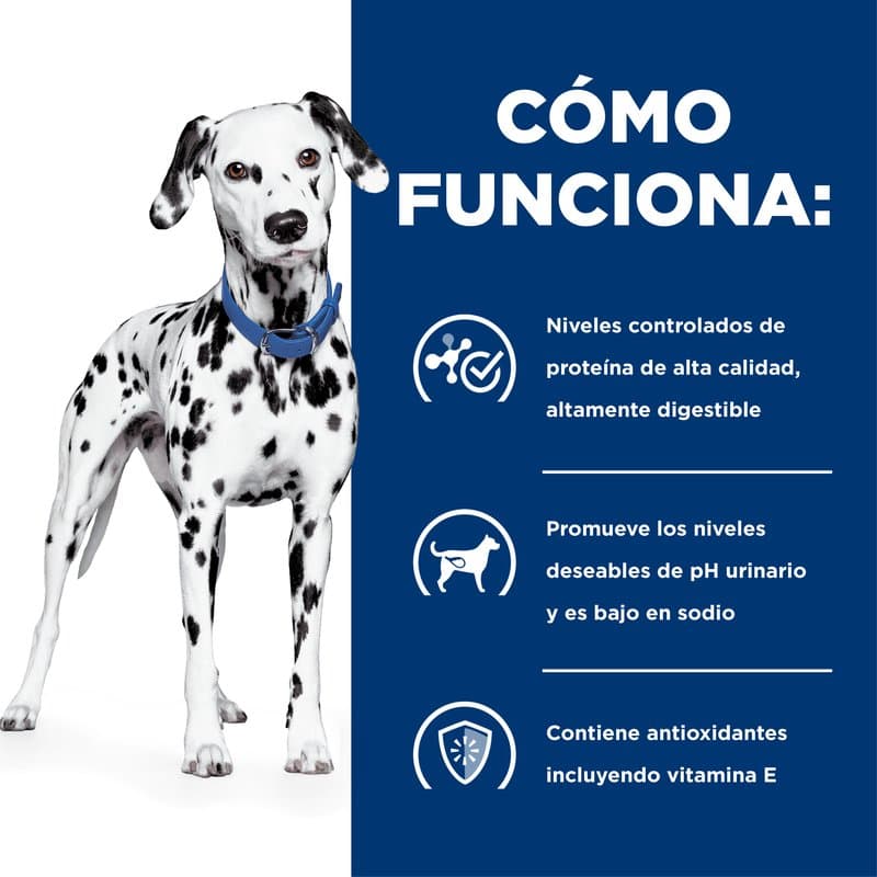 ee637871cf1ced7c5d23066cb017496e_1788279730.jpg