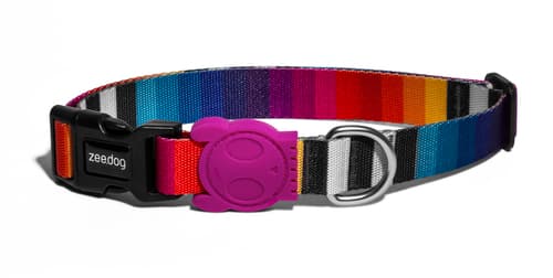 prisma 2_collar.jpg