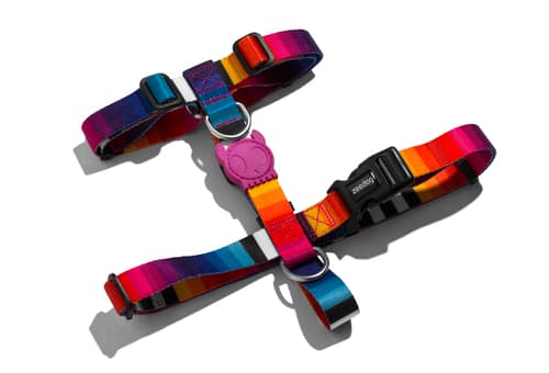 prisma 2_h_harness.jpg