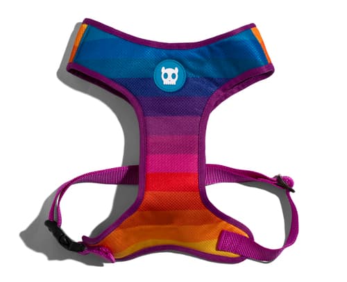 prisma_mesh_harness_reto.jpg