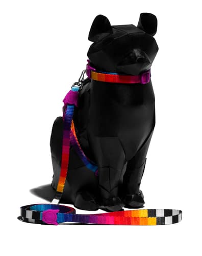 prisma_zeecat_leashandharness.jpg