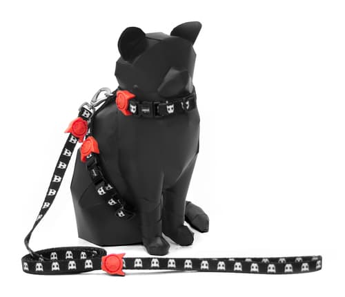 skull 2_zeecat_leashandharness.jpg