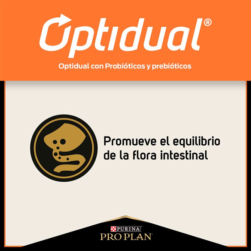 343ee96dbfcccd5b30c42b06e9796a38_1705419751.jpg