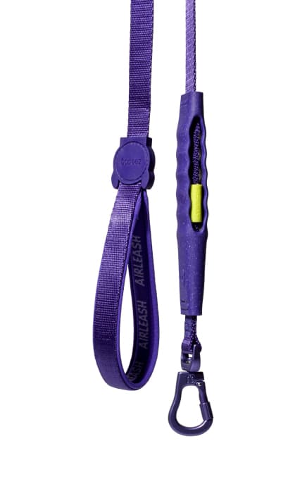 69390_Zeedog___Violet_Air_Leash_1628603280_0_436x680.jpg