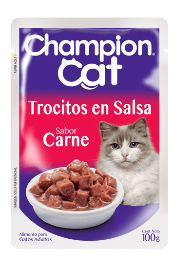 69701_Champion_Cat___Pouch_Carne_1629924667_0_361x550.png