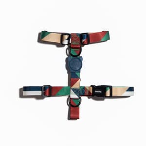 74899_Zeedog___Pacco_H_Harness_1641613984_0_300x300.jpg