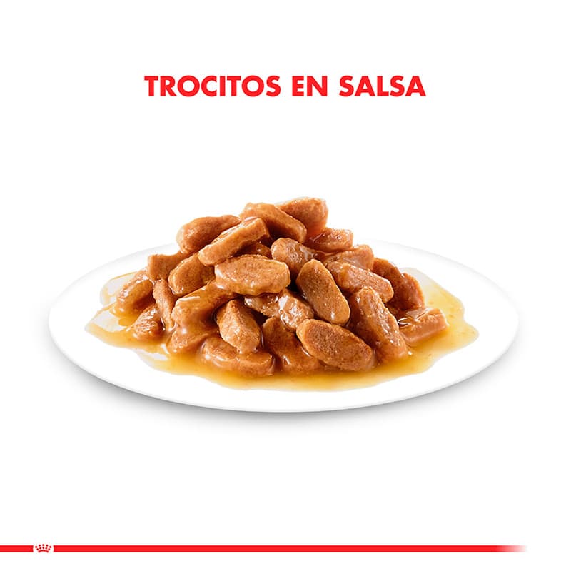 ab232269de1352732de67aa6538ee2aa_1671129588.jpg