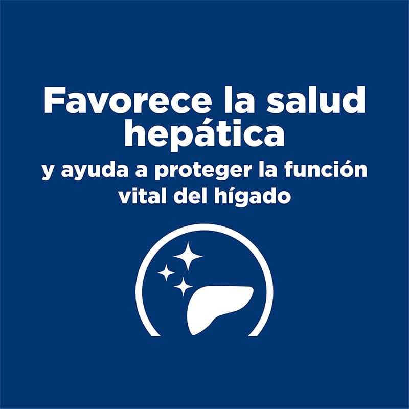 ed1a3ff753ec57c49d7c682da94ed463_1701787598.jpg