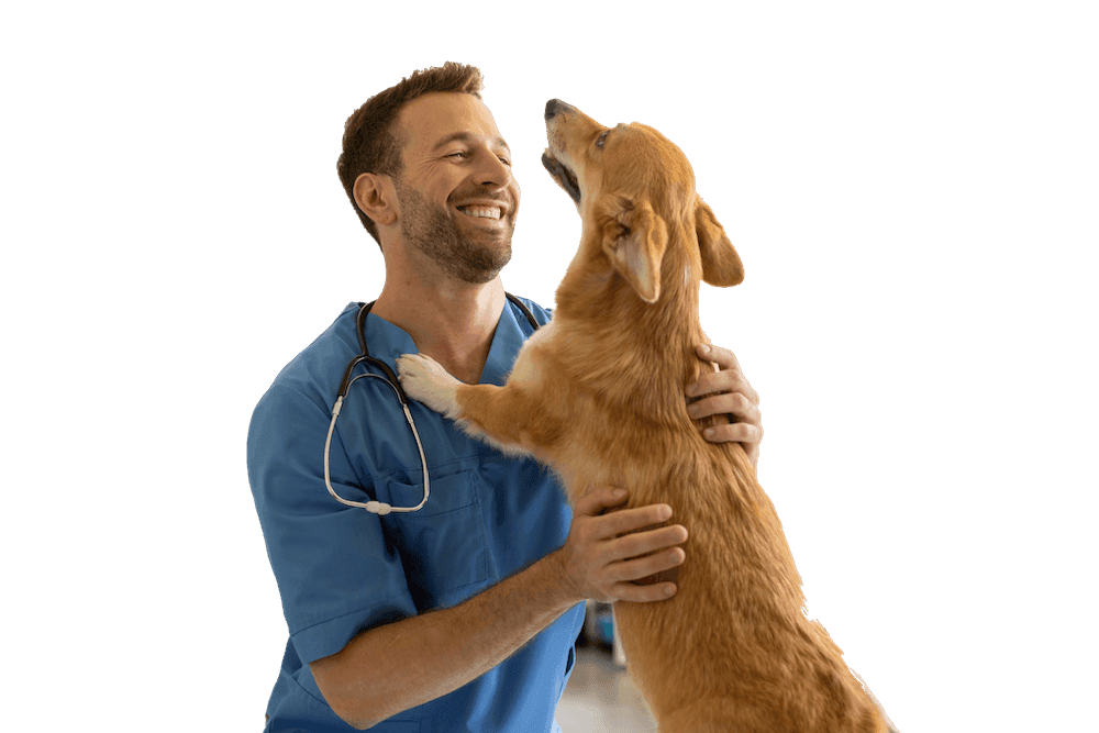 Veterinario con perro