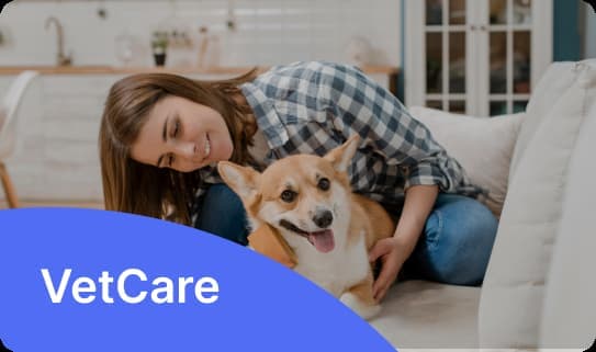 VetCare