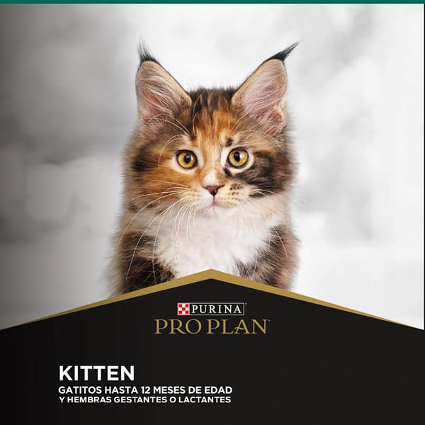 pro-plan-cat-kitten-optistart