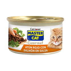 Master Cat - Alimento Gato Atun Salmon