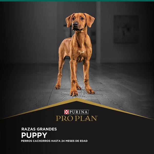 pro-plan-dog-puppy-optistart-raza-grande
