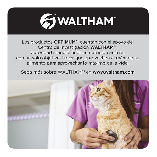 OPTIMUM™ - Alimento Húmedo para Gatos Castrados