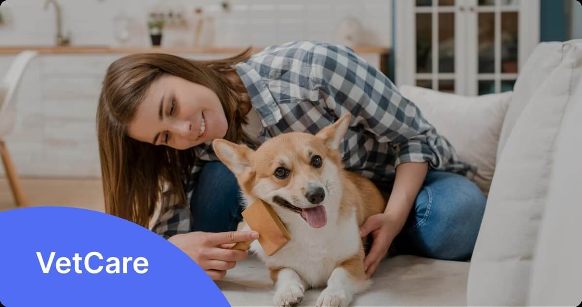 VetCare