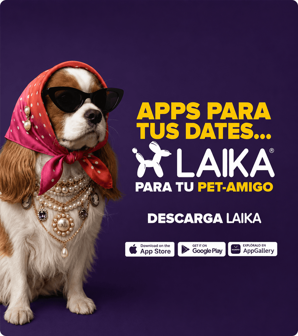 Laika imagen 2