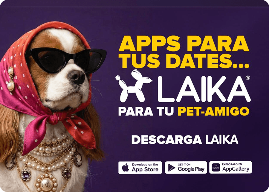 Laika imagen 2